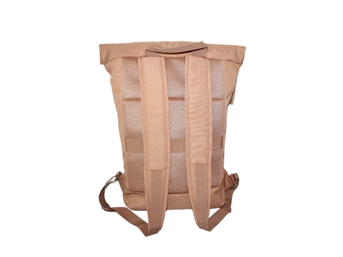 Backpack back view